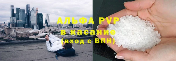 индика Бугульма