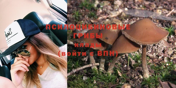 a pvp Богданович