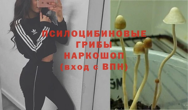 молекула духа Болотное