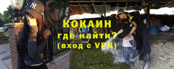 дживик Бронницы