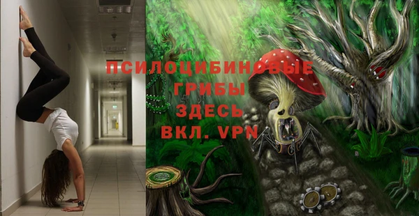 COCAINE Богородицк