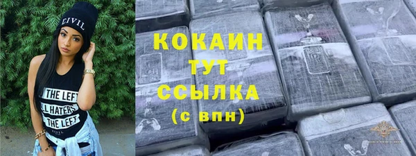 индика Бугульма