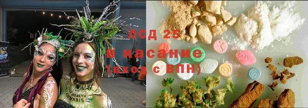 индика Бугульма