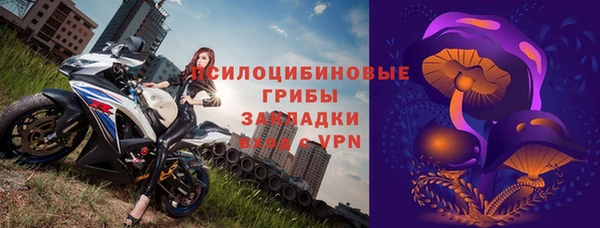 индика Бугульма