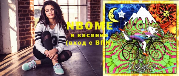 молекула духа Болотное