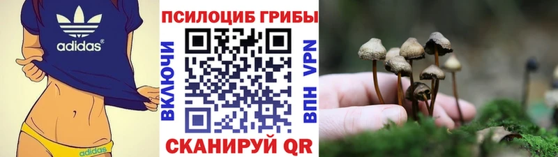 Псилоцибиновые грибы мицелий  купить наркотик  Горняк 